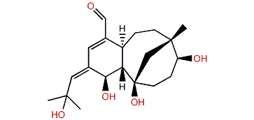 Floridicin C